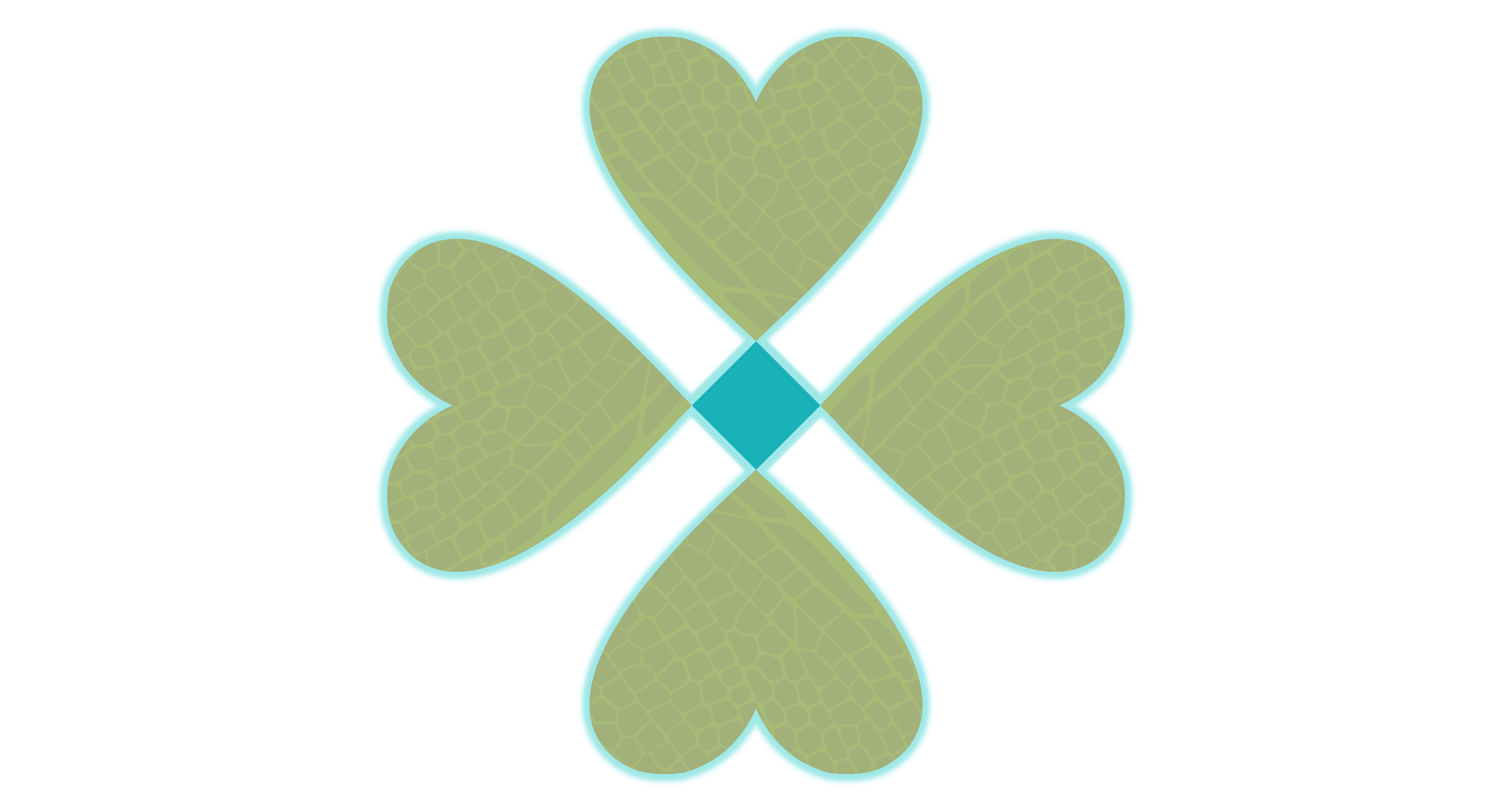 Dragonfly Copywriting